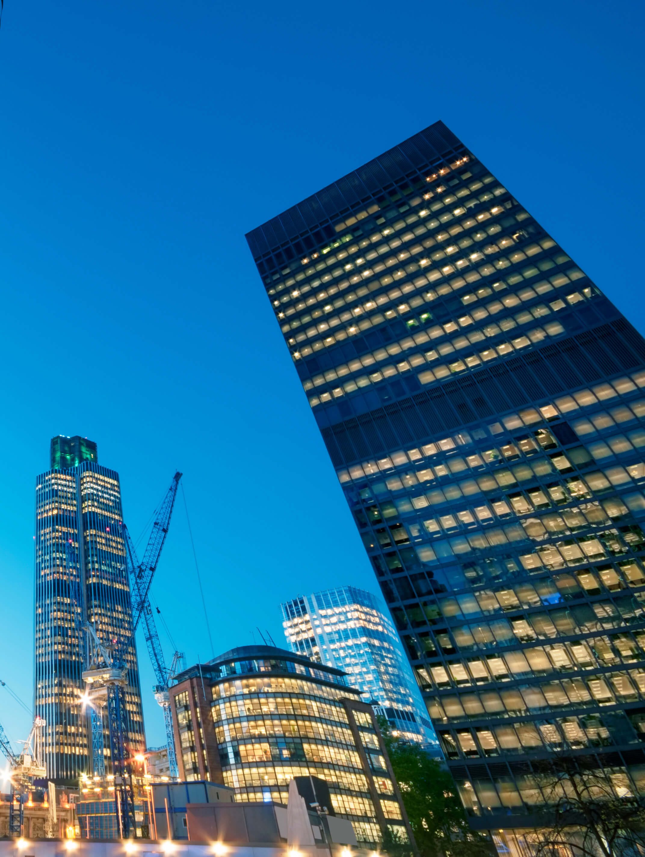 AdobeStock 72388728 (1)